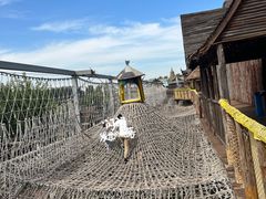 -呀路古热带植物园