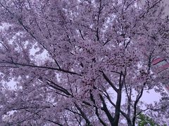 -鑫花溪牛肉米粉(人民广场店)