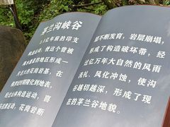-茅兰沟国家森林公园