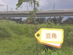 -光明小镇欢乐田园