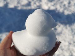 -绿野森林乐园冰雪季