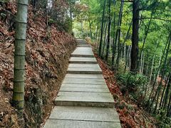-塔川景区