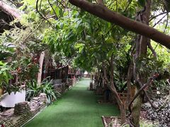 -呀路古热带植物园
