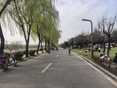 -洨河生态公园