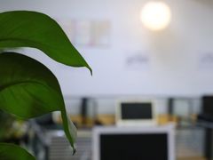 -樱花国际日语(人广中心)