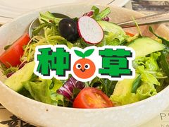 -THE PRESS(申报馆店)