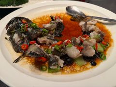 -曼格纳·曼芯馆(杨浦店)