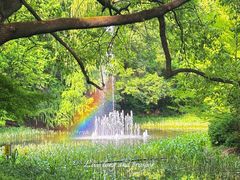 -上海共青森林公园