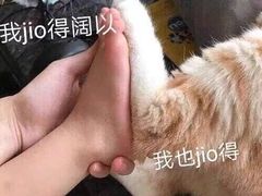 -多乐之日(富力城店)