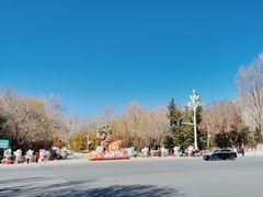 -罗布林卡