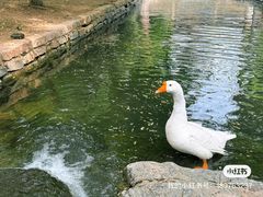 -三里河公园