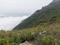 -白草畔自然风景区