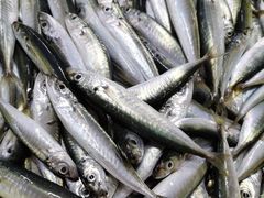 -板桥海鲜广场(文明东店)