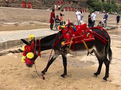 -陕西黄河壶口瀑布旅游区