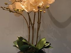 -南海底小海鲜·湘菜(鲁巷吴家湾店)