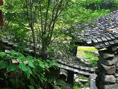 -MOJ coffee(瓯海泽雅水碓坑店)