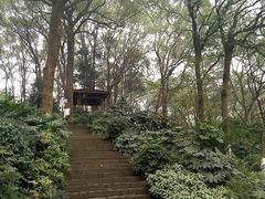 -忠山公园
