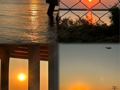 -宝安西湾红树林湿地公园