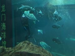 -洛阳龙门海洋馆