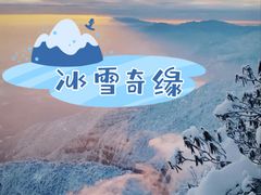 -瓦屋山景区