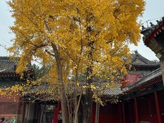 -承恩寺