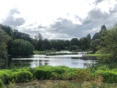 -墨尔本皇家植物园