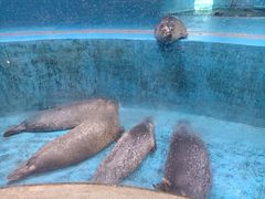 -青岛海底世界-水族馆