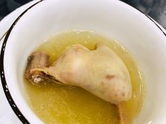 五指毛桃药膳鸽-鸽鸟轩(石岐店)