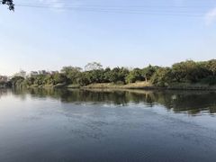 -小洲村