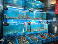 -老东镇啤酒屋海鲜加工·蒸汽海鲜·海鲜烧烤(台东店)