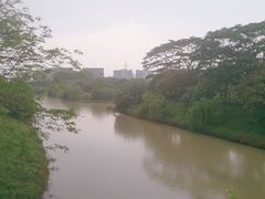 -广东花都湖国家湿地公园