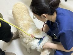 -爱妮康宠物医院·干细胞免疫细胞·肿瘤·心脏(张江店)