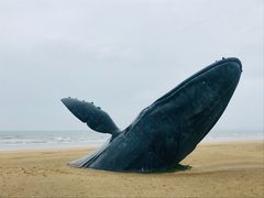 -烟台金沙滩海滨公园