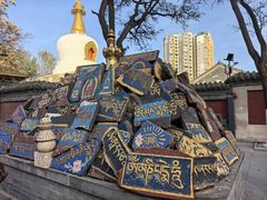 -护国法轮寺