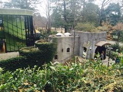 -三鹰之森吉卜力美术馆