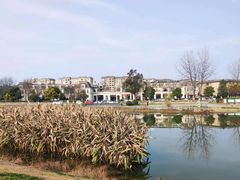 -两河城市森林公园