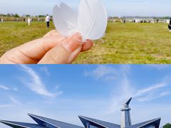 -盐城丹顶鹤湿地生态旅游区