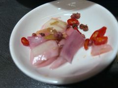 -龙翔山庄雷鸡肉(青城后山泰安古镇店)