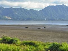 -北岐滩涂
