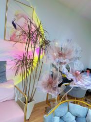 -美肤盾祛痘·问题肌头疗管理中心