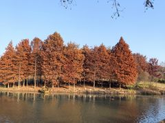 -紫霞湖公园
