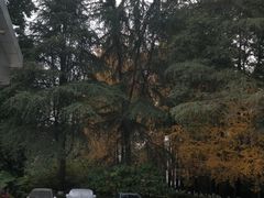 教学楼-四川大学(望江校区)