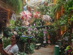 -正佳雨林生态植物园