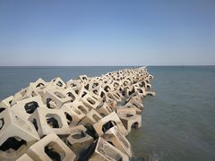 -东疆建设开发纪念公园