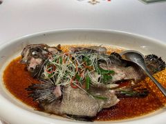 -俏江南天津时尚曲艺主题餐厅(马场道店)