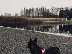 -尚贤河湿地