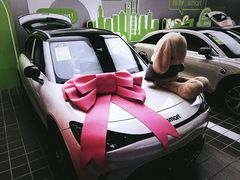 -上海浦东smart汽车全功能店(金桥店)