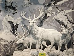 -中国湿地博物馆