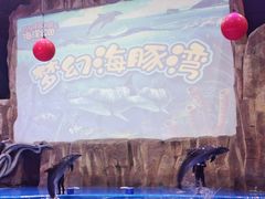 -华夏文旅海洋公园