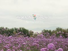 -深圳湾公园(南山区)